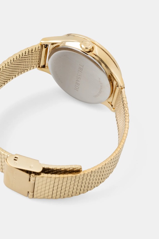 Hodinky Trussardi CITY LIFE R2453170504 zlatá AA00