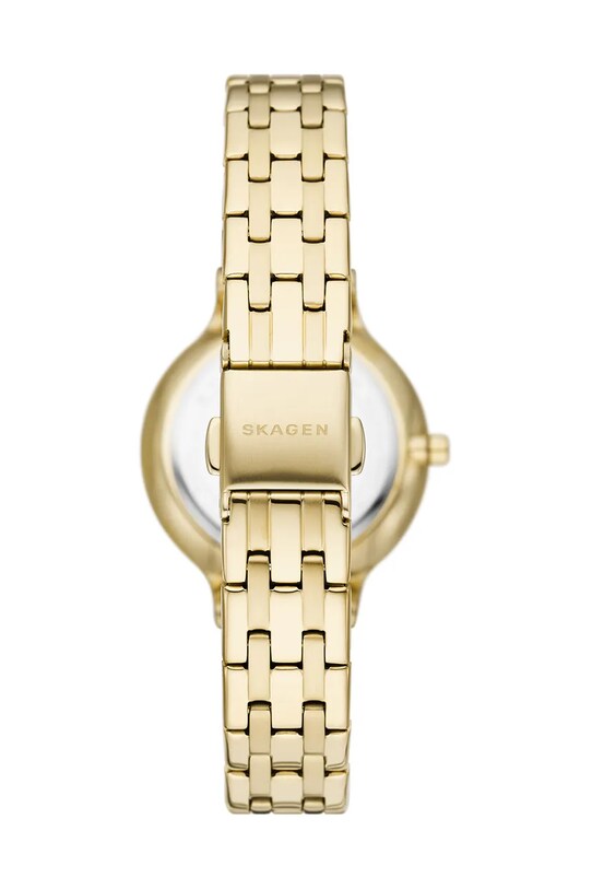 Hodinky Skagen ANITA LILLE SKW3165 zlatá AA00