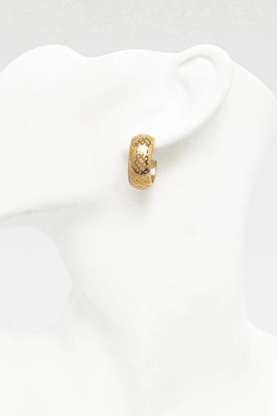 Accesorii BOSS cercei ASPEN 1580566 aur