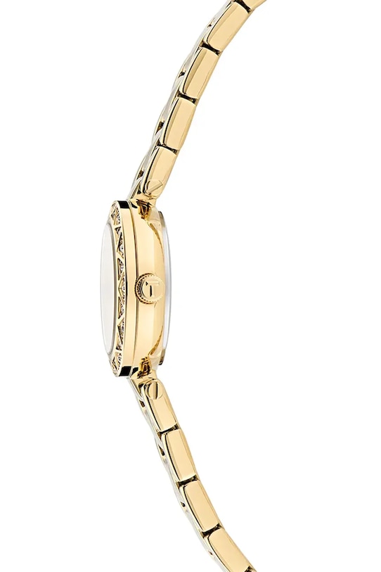 Аксесоари Часовник Ted Baker TB ICONIC BKPJLS505 злато