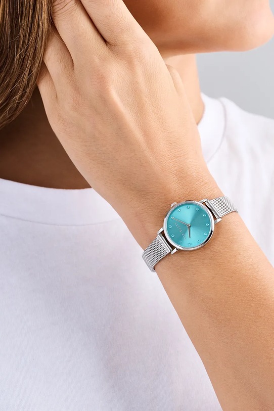 Hodinky Ted Baker TB CLASSIC CHIC stříbrná BKPSTS511