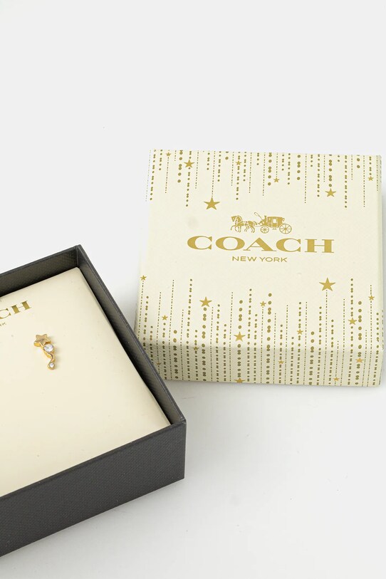 Аксесуари Сережки Coach 518486 золотий