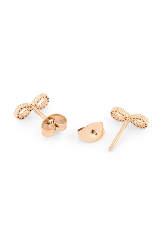 Accessori Daniel Wellington orecchini DW00401615 argento