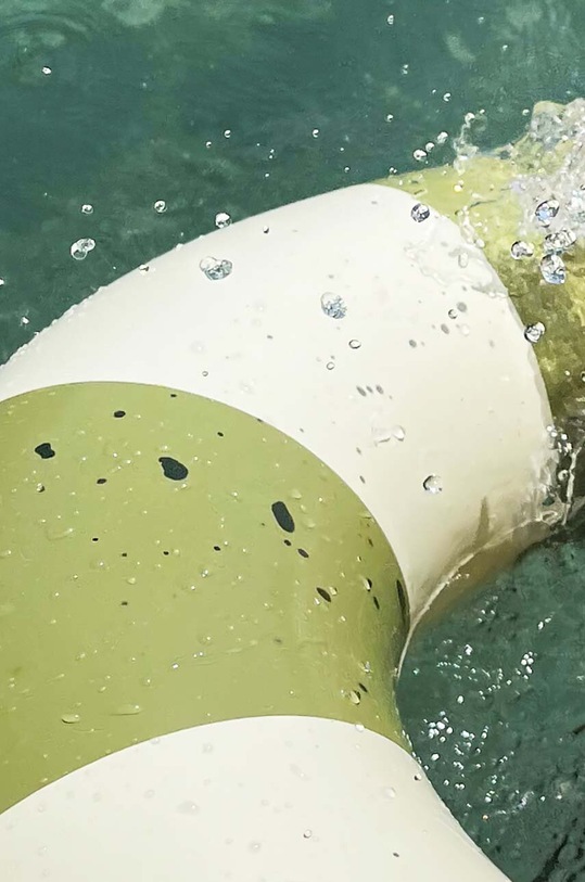 Petites Pommes koło do pływania dziecięce ANNA 60CM ANNA.60CM zielony AA00