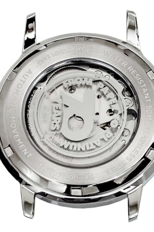 Hodinky Timex strieborná TW2U71200