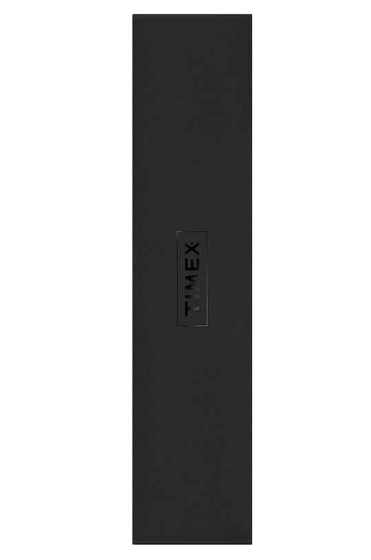 Hodinky Timex TW2T22800 TW2T22800 zlatá