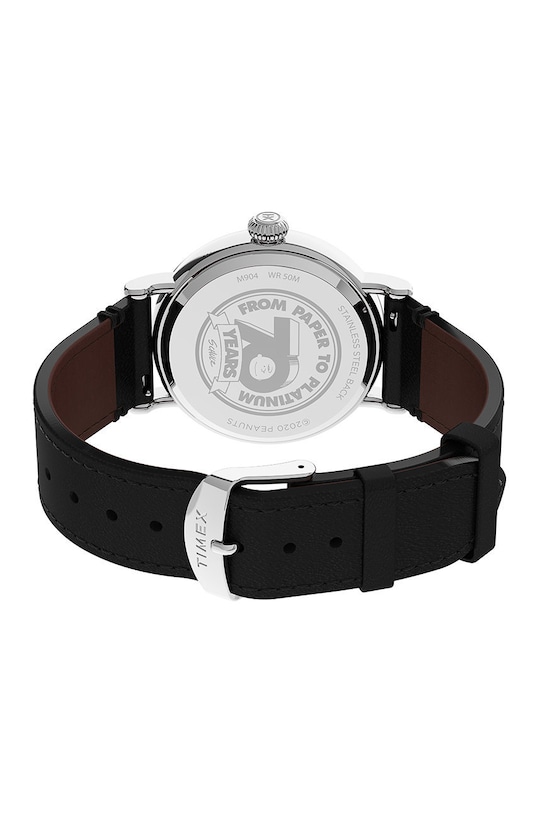 Hodinky Timex TW2U71100 TW2U71100 stříbrná