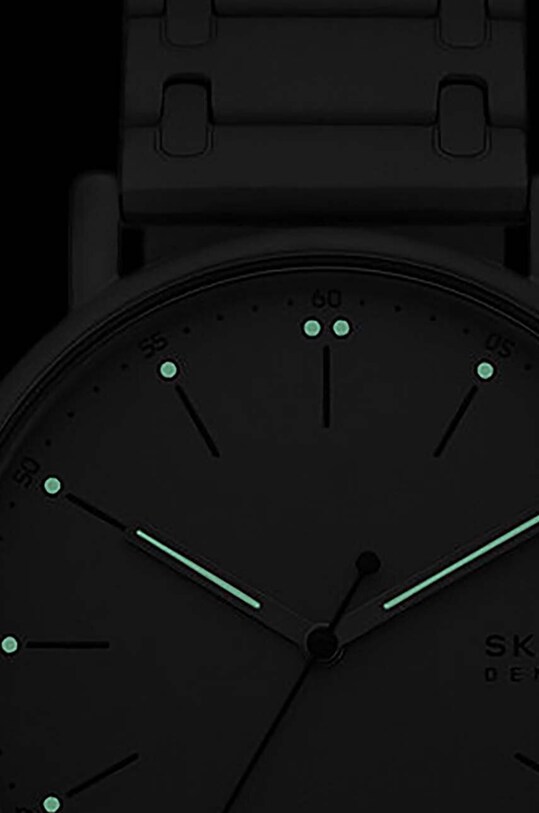 Годинник Skagen сірий SKW6913