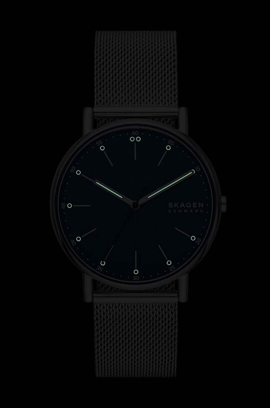 Часы Skagen серебрянный SKW6904