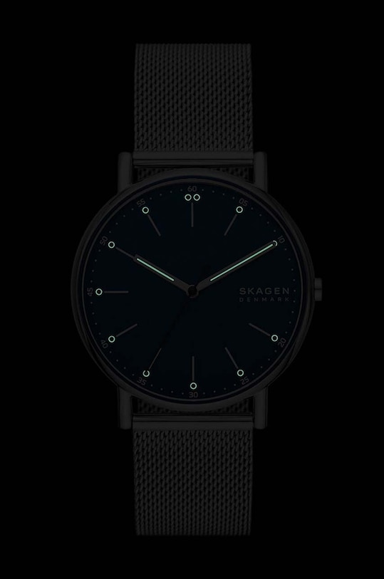 Skagen zegarek srebrny SKW6904