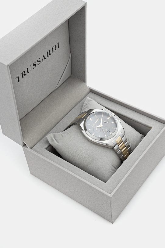 Accesorii Trussardi ceas METROPOLITAN R2453159009 argintiu