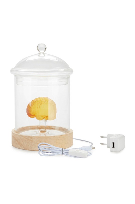 Balvi lampa stołowa 27338 brązowy AA00