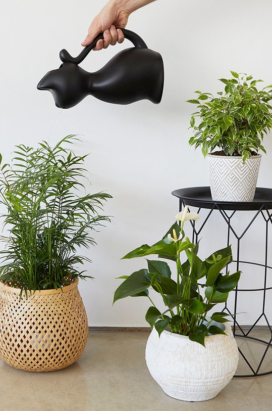 Balvi - Лійка 27453. чорний