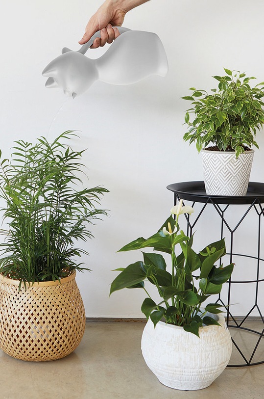 Balvi konewka 27455 szary AA00