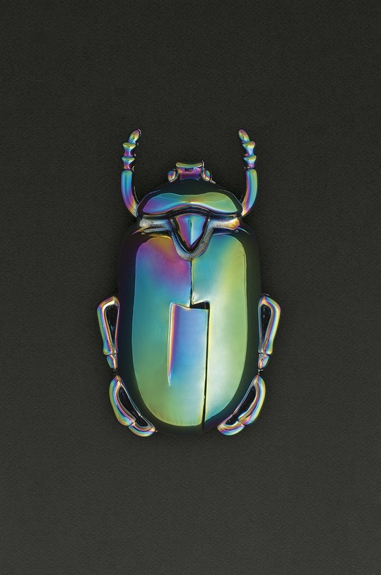 Bucătărie și bar DOIY - Tirbuson DYINSECCI multicolor