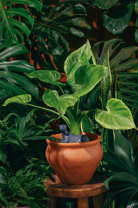 DOIY system nawadniający DYJANGPAN niebieski