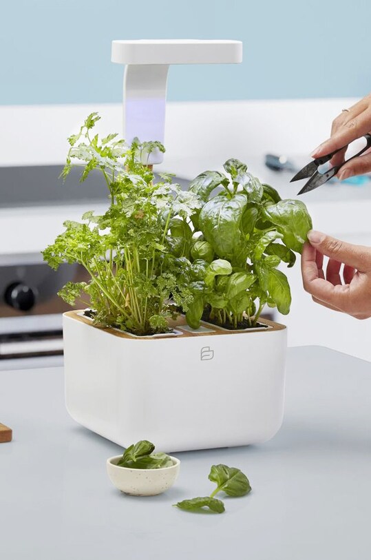 Вітальня та спальня Veritable - Автономний домашній сад Botaneo Eylo VBOT.EAWBA.B.66 білий
