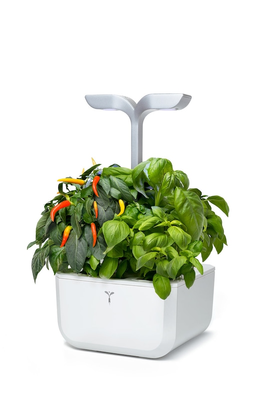 Veritable - Gradina de casa autonoma Exky Smart alb VEXK.SAWAS.FR.40