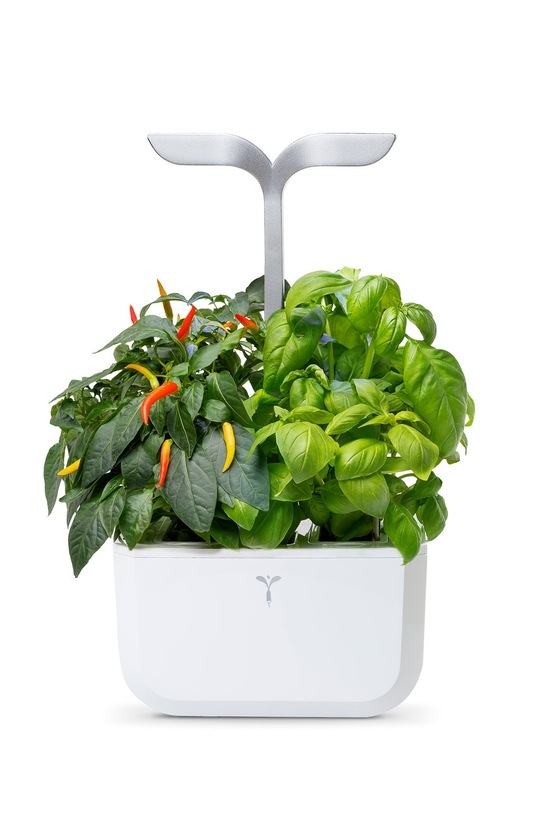 Veritable - Gradina de casa autonoma Exky Smart VEXK.SAWAS.FR.40 alb AA00