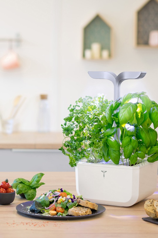 Veritable - Gradina de casa autonoma Exky Smart alb VEXK.SAWAS.FR.40