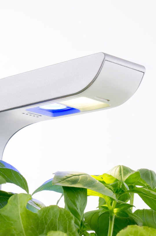 Salon i sypialnia Veritable autonomiczny ogródek domowy Smart VPOT.SSBAS.PL.27 czarny