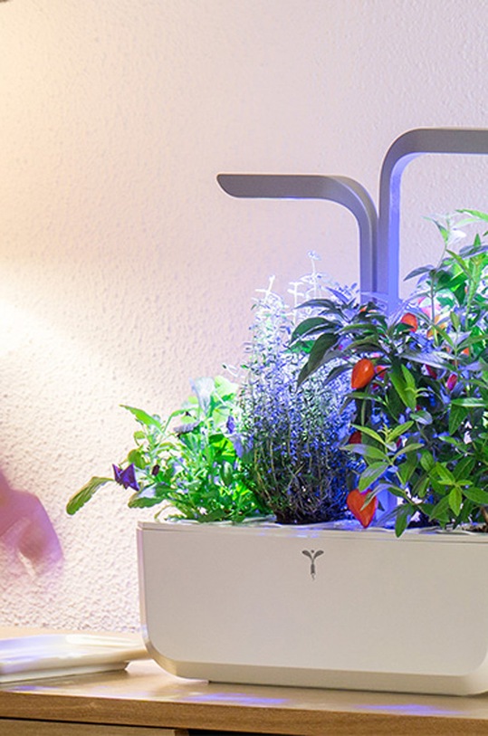 Veritable autonomiczny ogródek domowy Smart VPOT.SSBAS.PL.27