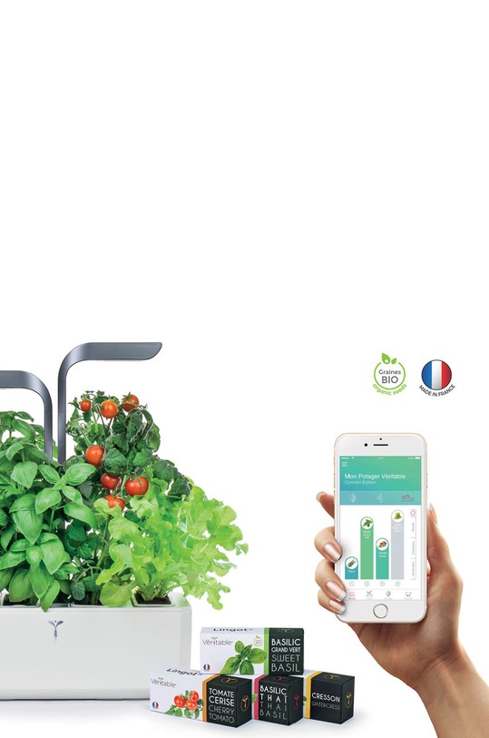 Salon i sypialnia Veritable autonomiczny ogródek domowy Connect VPOT.BAWIG.A.11 szary