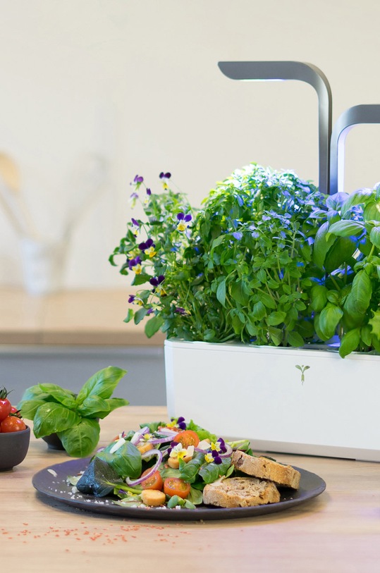 Veritable autonomiczny ogródek domowy Connect szary VPOT.BAWIG.A.11