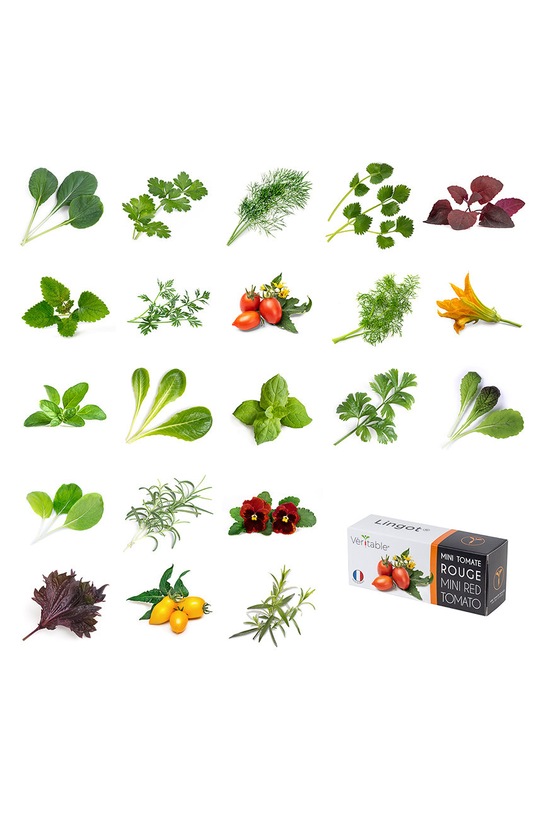 Veritable - Insertie de seminte menta VLIN.A10.Men009