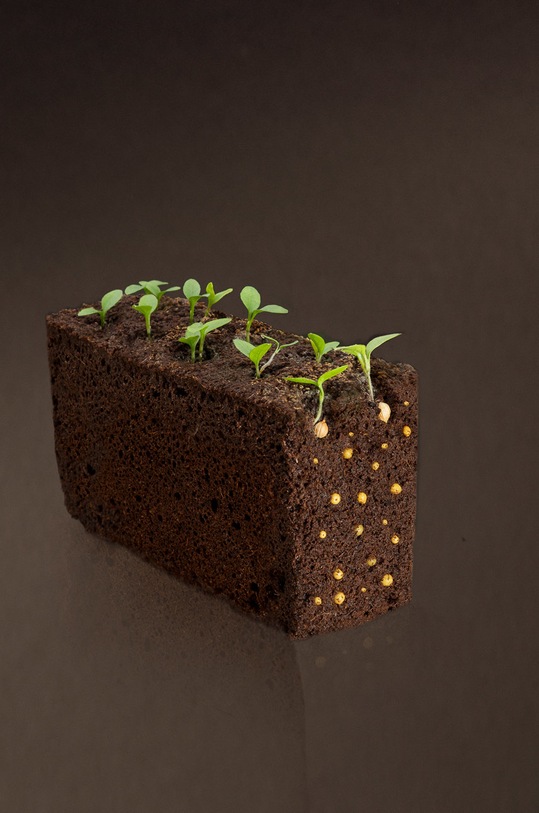 Veritable - Náplň so semienkami Pažítka VLIN.A10.Cib004 viacfarebná