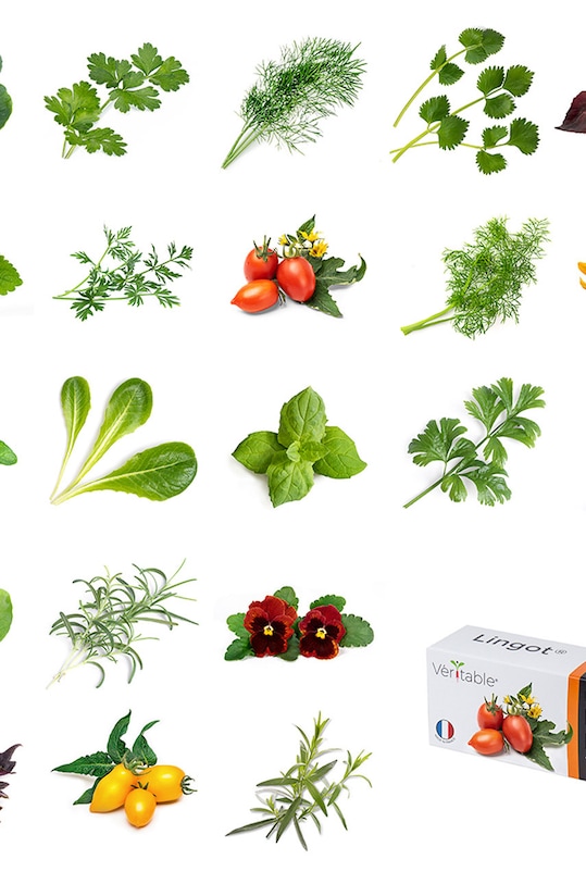 Veritable - Посевной вкладыш Кориандр VLIN.A10.Cor003