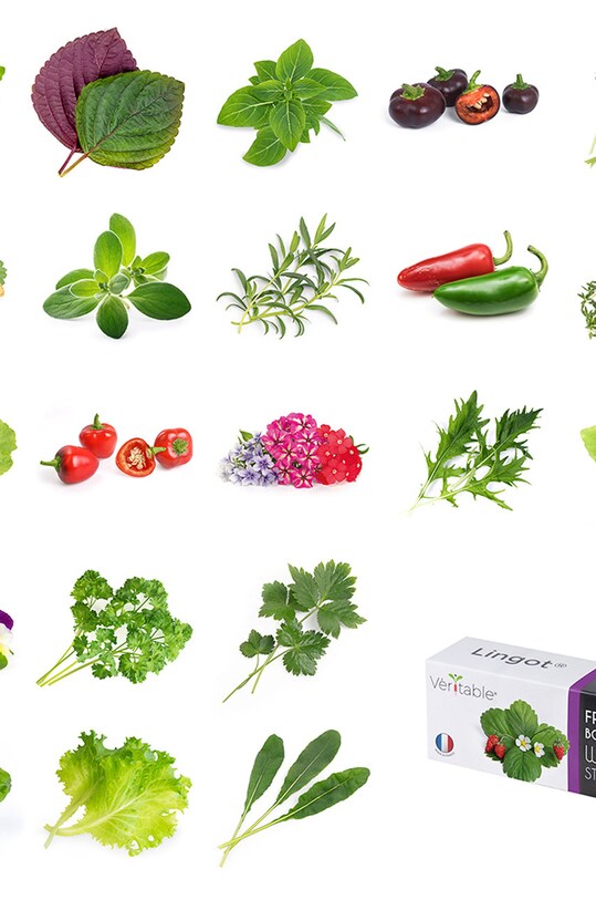 Veritable - Посевной вкладыш Кориандр VLIN.A10.Cor003