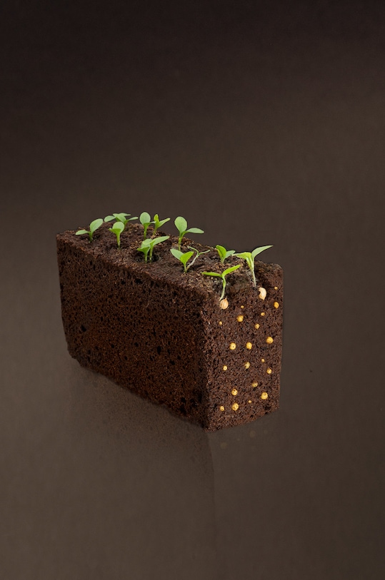 Veritable - Посевной вкладыш Кориандр VLIN.A10.Cor003 мультиколор