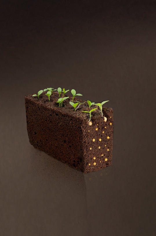 Veritable wkład nasienny Mięta lodowa VLIN.A10.Men04B multicolor