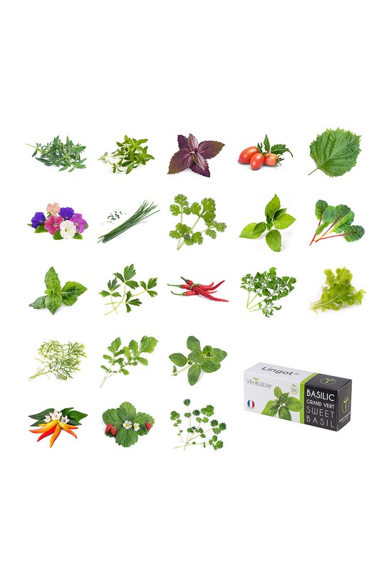 Veritable wkład nasienny Mięta lodowa VLIN.A10.Men04B