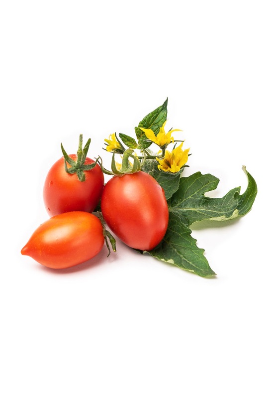 Veritable - Umetak sa sjemenom Cherry rajčica crvena VLIN.L5.Tom016 šarena AA00