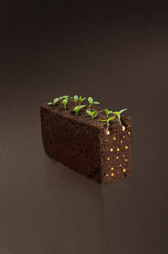 Veritable - Umetak sa sjemenom Cherry rajčica crvena VLIN.L5.Tom016 šarena