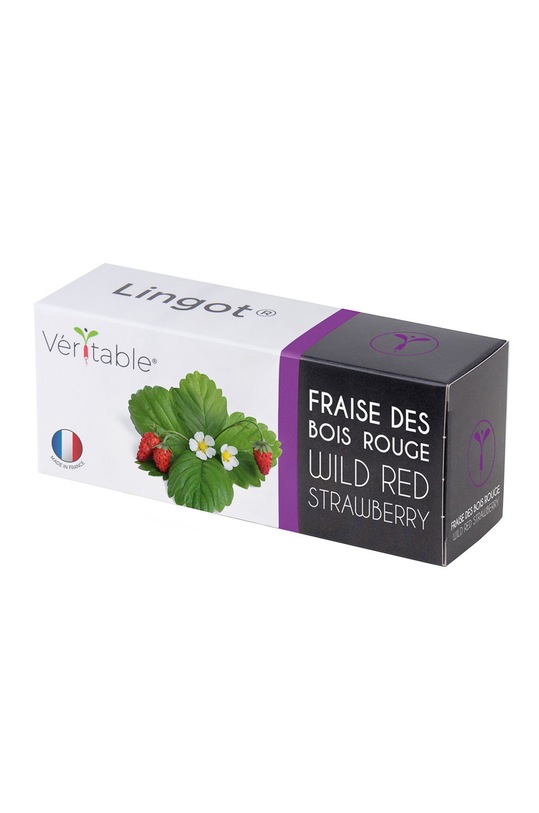 Veritable wkład nasienny Poziomka czerwona multicolor VLIN.P5.Fra029