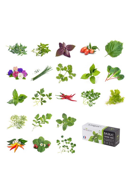 Veritable - Insertie de seminte mini ardei rosii VLIN.L5.Poi017