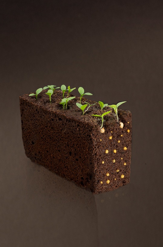 Veritable wkład nasienny Petunia VLIN.F5.Pet02A multicolor