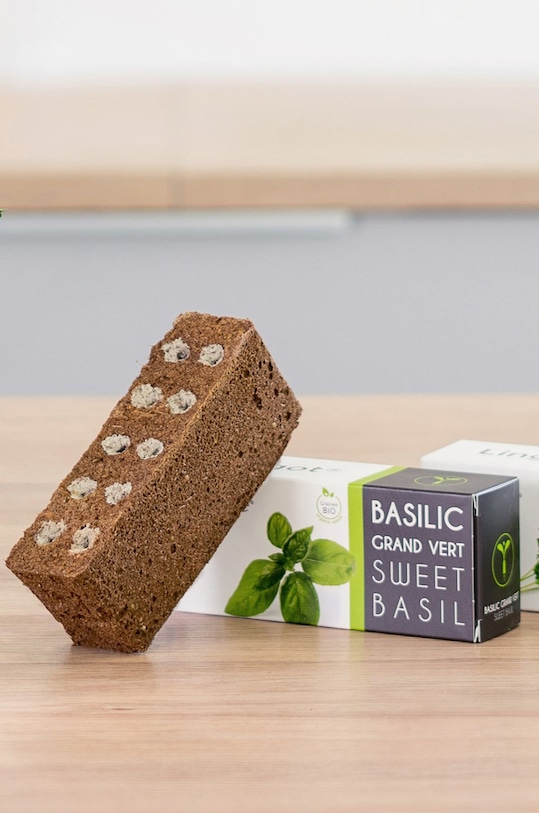 Veritable - Insertie de seminte busuioc citric multicolor VLIN.O10.Bas010