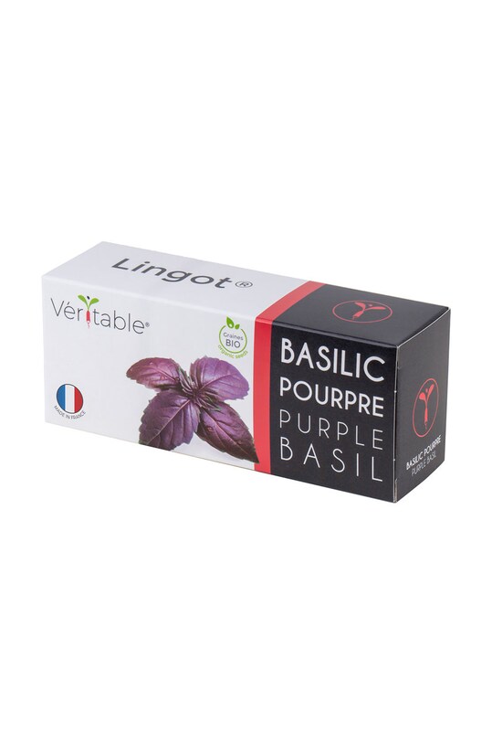 Veritable wkład nasienny Bazylia purpurowa multicolor VLIN.O10.Bas00F