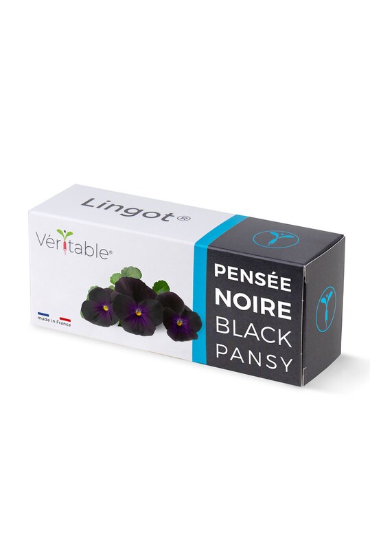 Veritable - Insertie de seminte panselute negre multicolor VLIN.F5.Pen059
