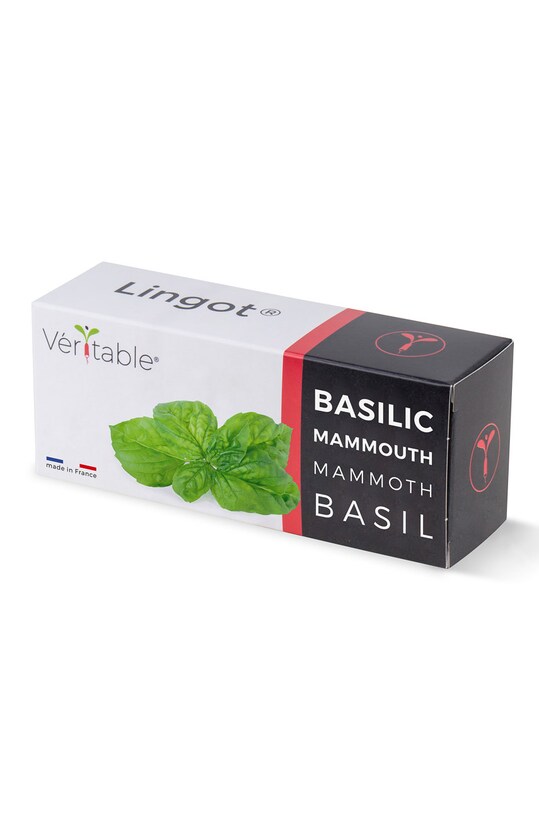 Veritable - Insertie de seminte busuioc mamut. multicolor VLIN.O10.Bas058