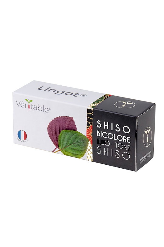 Veritable wkład nasienny Pachnotka dwukolorowa multicolor VLIN.S5.Shi051