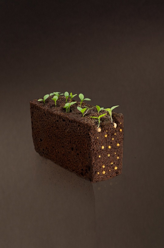 Veritable wkład nasienny Pomidor koktajlowy różowy VLIN.L5.Tom052 multicolor