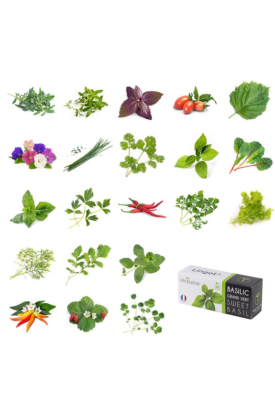 Veritable - Un set cadou pentru cultivarea plantelor KIT.FRAILING.FR.39