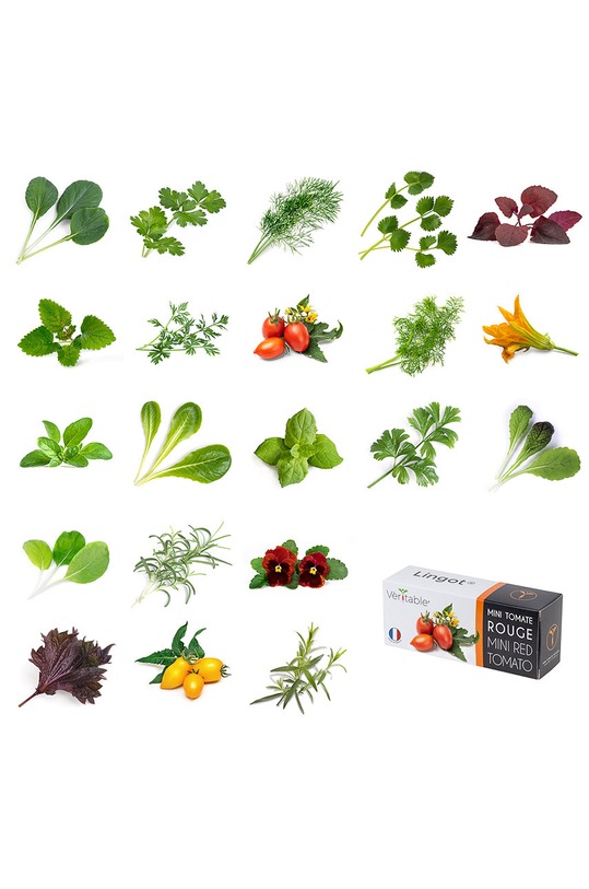 Veritable - Un set cadou pentru cultivarea plantelor KIT.FRAILING.FR.39