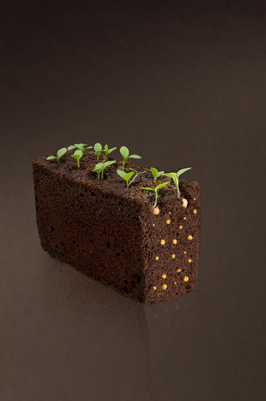 Kuchnia i bar Veritable nożyczki A.ACC.CIS.0076.L biały