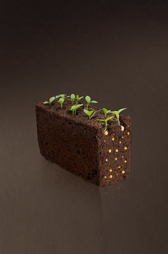 Salon i sypialnia Veritable knoty nawadniające do doniczek (8-pack) V.REC.KIT8MECH.1 biały